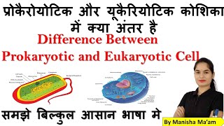 प्रोकेरियोटिक और यूकेरियोटिक कैसे याद रखेयूकेरियोटिक कोशिका क्या हैkhansir khangsresearchcentre [upl. by Nohsed]