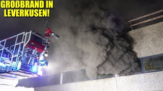 MASSIVER BRAND IN SPORTHALLE  Großbrand in Leverkusen  Enorme Rauchentwicklung   03012023 [upl. by Firestone]