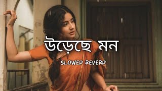 lofi উড়েছে মন।।ureche mon।।Bengali lyrics WhatsApp video।slowed reverd letest song video। Bengali [upl. by Nepean]