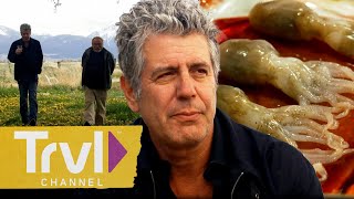 Anthony’s FAVORITE Episodes of All Time  Anthony Bourdain No Reservations  Travel Channel [upl. by Mcclenon692]