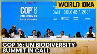 COP16 Biodiversity Summit 200 Countries To Take Part In Debate During Biodiversity Summit  WION [upl. by Tamma]