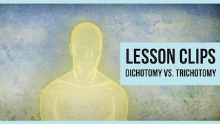 Lesson Clips Dichotomy vs Trichotomy [upl. by Nylavad763]