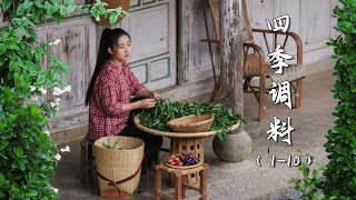 Unique Spice Gardens of the Village  Spices of Four Seasons 【滇西小哥】 [upl. by Paddie]