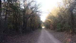 Fall walk in Hagerman with Bilbo 2 [upl. by Atteragram583]