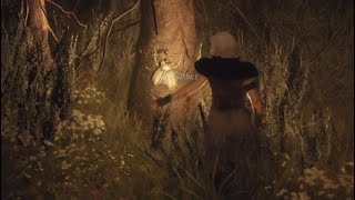 Dragons Dogma 2 Golden Trove Beetle Location North Central Mountain Pass [upl. by Halyk]