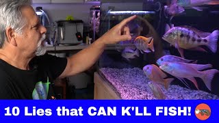 DONT BELIEVE These FISH KEEPING MYTHS [upl. by Vida]