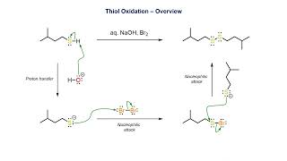 Thiol Oxidation [upl. by Esorlatsyrc]