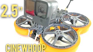 Diatone Taycan 25quot cinewhoop drone  Gopro hero 9 on a micro drone [upl. by Esnohpla527]