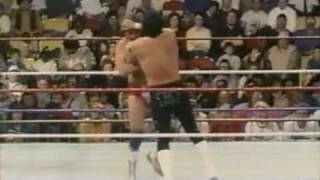 WWF Superstars of Wrestling\ 6th January 1990  Part 5  5 [upl. by Athiste]