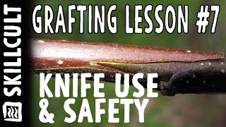 Grafting Series Lesson 7 Knife Use and Safety [upl. by Halle405]