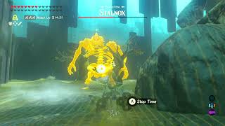 BotW Trial of the Sword Final Trials Level 5 Stalnox [upl. by Savadove717]