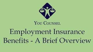 Employment Insurance Benefits  A Brief Overview [upl. by Lynnell82]