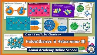 Haloalkanes amp Haloarenes II Master the Chemistry of Halogenated Compounds [upl. by Jennette]