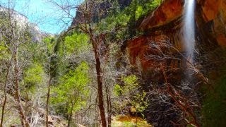 Upper Emerald Pool Zion National Park [upl. by Adnoryt]