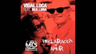 Vidal Loca  Declaracion de Amor Les Mecs Remix [upl. by Dlonra]