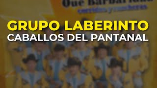 Grupo Laberinto  Caballos del Pantanal Audio Oficial [upl. by Htial]