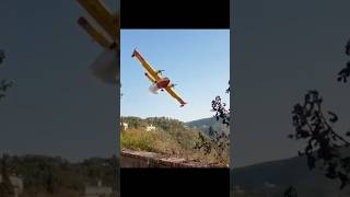 Lleno de espuma canadair pilot aviation wildfire bomberos incendio helicopter [upl. by Letsou]