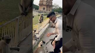 🐒🐒🐒 😂 isne to dara hi diya 😂pawansahu fitnessmotivation motivation funny [upl. by Branden712]