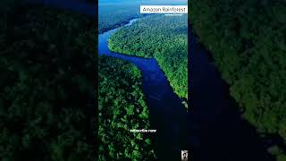 Amazon Rainforest  short facts amazonrainforest mahakalfects07 । [upl. by Giustina]