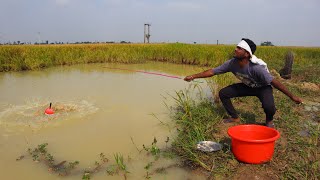 Fishing Video  Traditional boys prefer to admit fishing in small canals  Best hook fishing [upl. by Ruosnam]