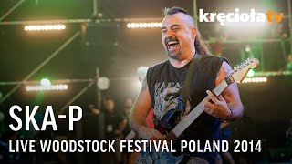 SKAP LIVE Woodstock Festival Poland 2014 FULL CONCERT [upl. by Adnahs688]