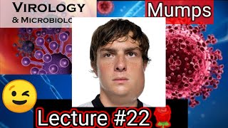 mumps mumps symptoms mumps virus microbiology VIROLOGY MICROBIOLOGY LEVINSON [upl. by Comptom]