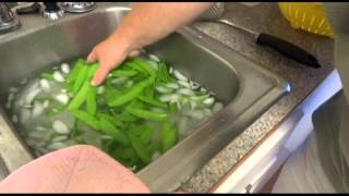 How to freeze Asian Pea PodsFreeze Pea Pods [upl. by Scharff]