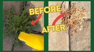 How To Get Rid of Unwanted Grass And Weeds without Roundup [upl. by Wehttam]