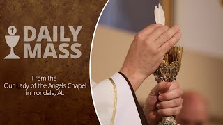 Catholic Daily Mass  Daily TV Mass  October 29 2024 [upl. by Arait493]