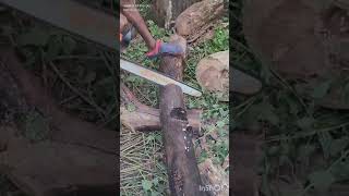 Wood cutting machine chain saw GC power 22inch shorts woodmachine [upl. by Esli876]