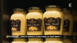 Dossier du Jour  Moutarde  la star des condiments [upl. by Latreese778]