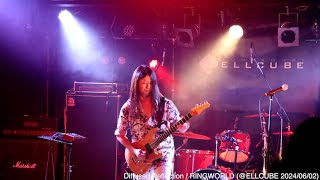 【LIVE】Diffused Reflection  RINGWORLD藤井光Solo ver ELLCUBE 20240602 [upl. by Sualkin84]