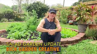 Salad Garden Update [upl. by Dorcea]