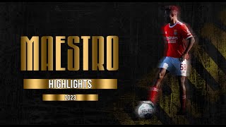 MAESTRO  MIDFIELDER  BENFICA B  PT  2023 [upl. by Farra]