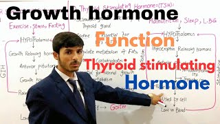 Growth hormone  Thyroid stimulating hormone  Somatotropin Gigantism amp dwarfism  Endocrine system [upl. by Borras]