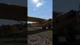 Piper Cub at Willows Farm runway airplane farmlife [upl. by Anayaran]