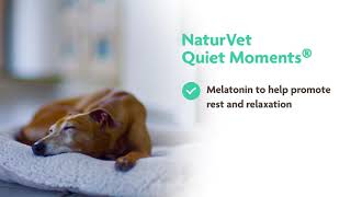 NaturVet Quiet Moments Dog Calming Aid [upl. by Ahsuatan434]