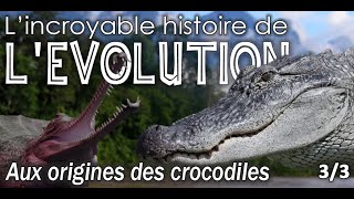 Aux origines des crocodiliens  33  Paléontologie  Simplex Paléo [upl. by Feer]