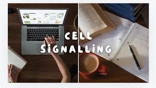 Cell Signalling Key Pathways Mechanisms and function study notes [upl. by Alard]