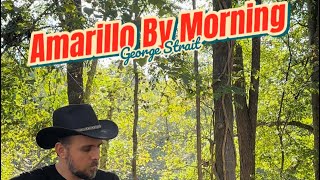 Amarillo by morning  cover [upl. by Taite43]