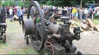 Bulldog Dampf und Diesel  die Stationärmotoren  24  Stationary Engine Rally [upl. by Llekcir162]