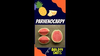 Parthenocarpy  seedless fruits  biologyshorts  shorts [upl. by Neetsirhc94]