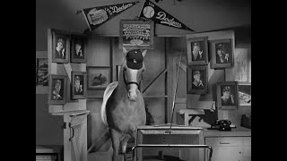 Mister Ed s04e01 Leo Durocher Meets Mister Ed clip [upl. by Hermann]