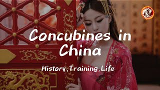 Concubines in China – History Training Life [upl. by Salb]