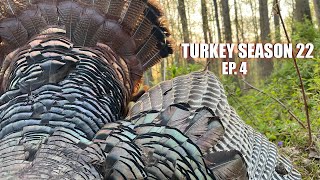 BED to DEAD  PA OPENING DAY GOBBLER DOWN  Spring Turkey Hunting 2022 [upl. by Eyahsal]