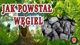 ⚒️ Jak powstał węgiel ⚒️ Filmy Edukacyjne z Barbarą [upl. by Hamfurd]