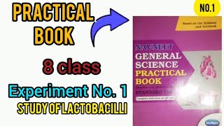 practical book 8 class Experiment No 1 study of lactobacilli subscribe [upl. by Karla141]