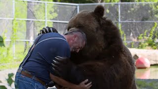 Animals Reunited With Their Owners After Years [upl. by Roderich]