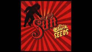 The Black Seeds  Lets get down [upl. by Lisabet]