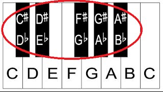 Piano Notes and Keys  Piano Keyboard Layout  Lesson 1 For Beginners [upl. by Theobald]